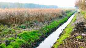 A swale