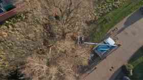 Tree surgeon from above.