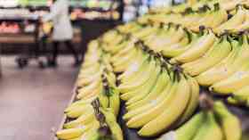 Food waste reversal could supply 250m extra meals