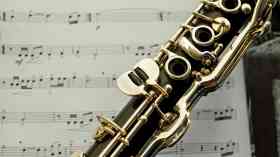 Fully funded pay rise needed to protect music teachers