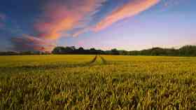 New plans to streamline support for farmers
