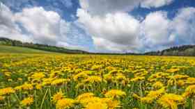MPs press for Nature report to be published 