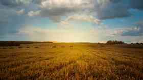 New strategy to boost Norfolk’s rural economy