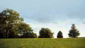 Bringing home the benefits of community greenspace