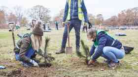 Trees – a vital link in urban stormwater management