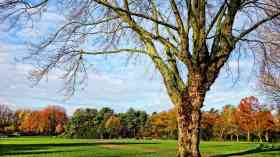 Councils should unlock £7 billion of local assets