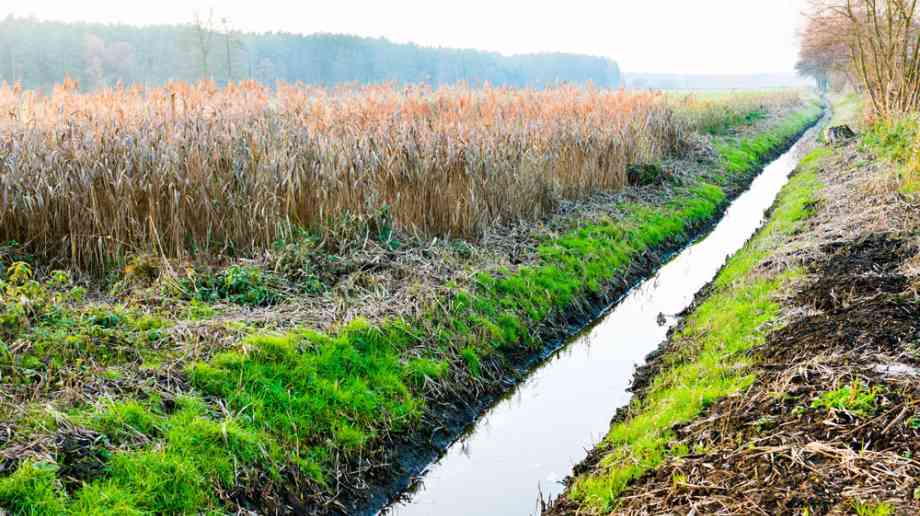 A swale