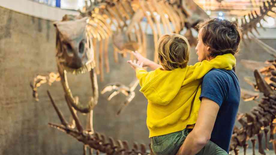 Child and parent looking at a dinosaur skeleton in a museum.