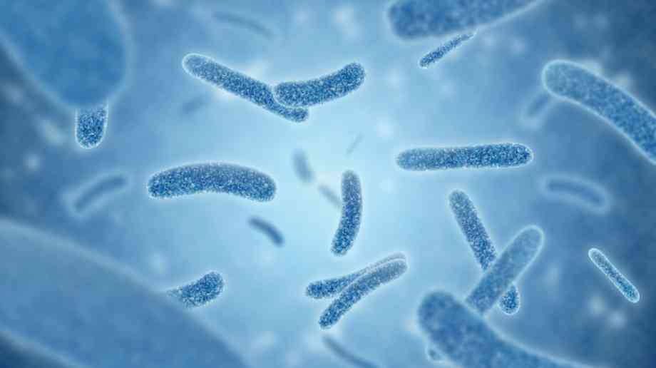 Legionnaires