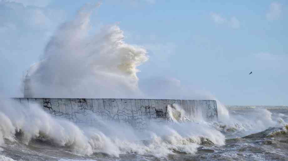 Waves