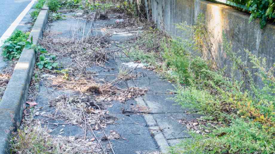 Public pavement overgrown with weeds.