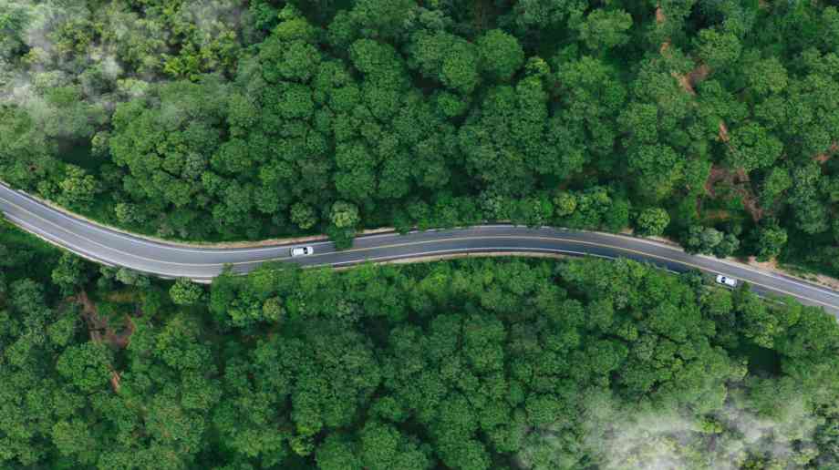 Car on road through a forest.