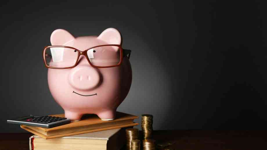 Piggy bank with money Piggy bank with money