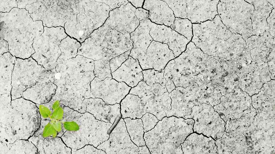 LGA suggests joint national taskforce on Climate Change LGA suggests joint national taskforce on Climate Change