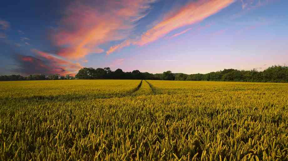 New plans to streamline support for farmers