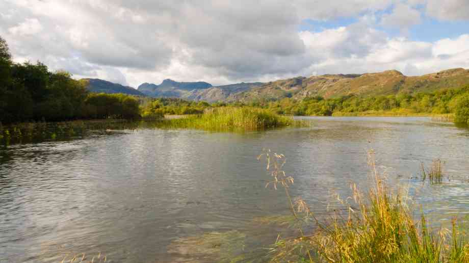 Helping North East be flood resilient