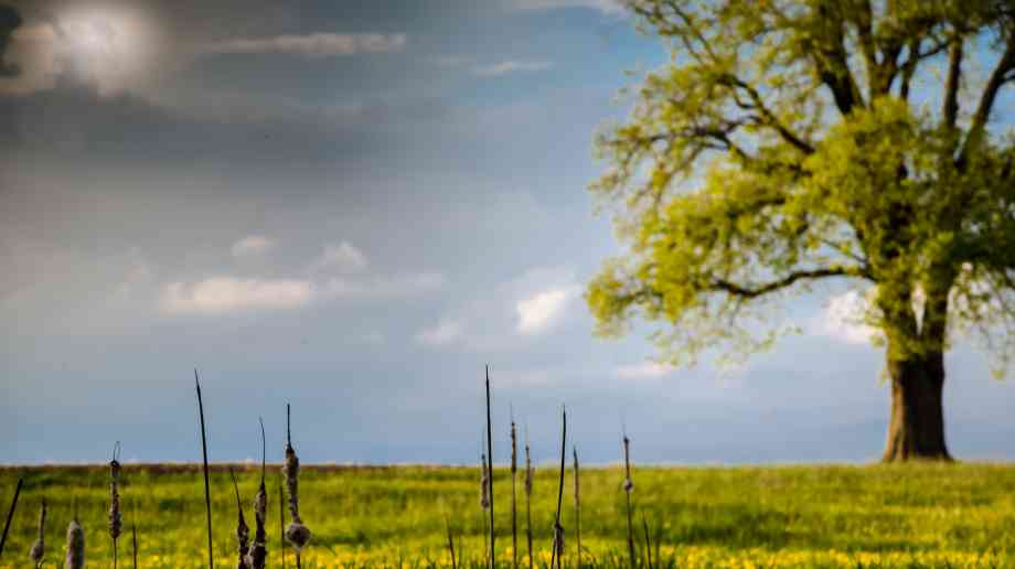 £200 million boost for rural England