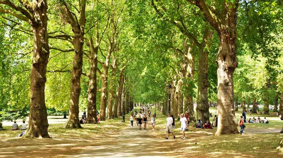 Sadiq Khan vows to protect ‘the lungs of the capital’