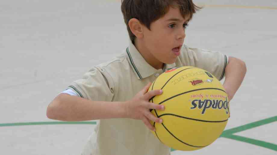 LGA urges support for public sport and leisure services