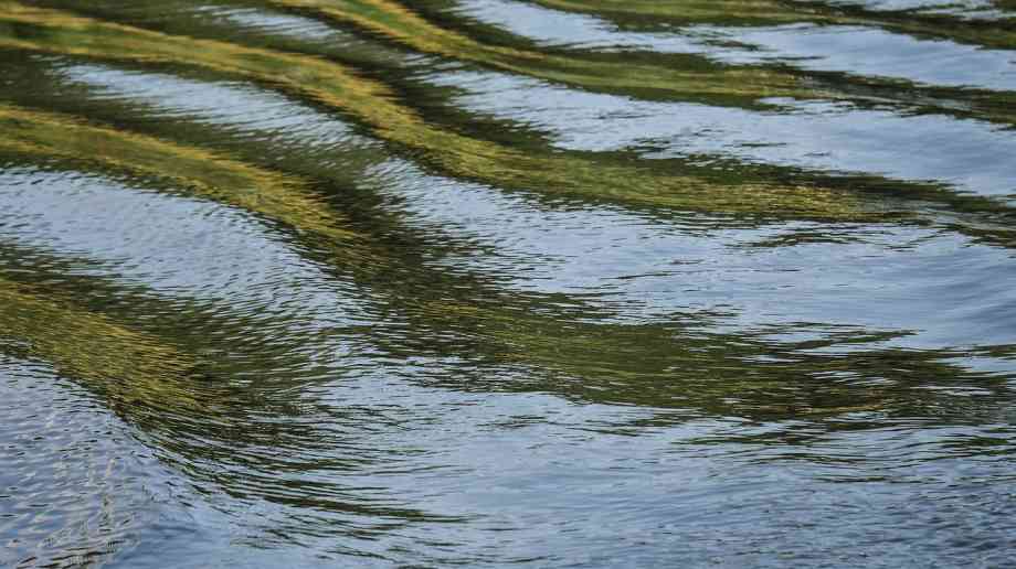 Medway flood plan launched