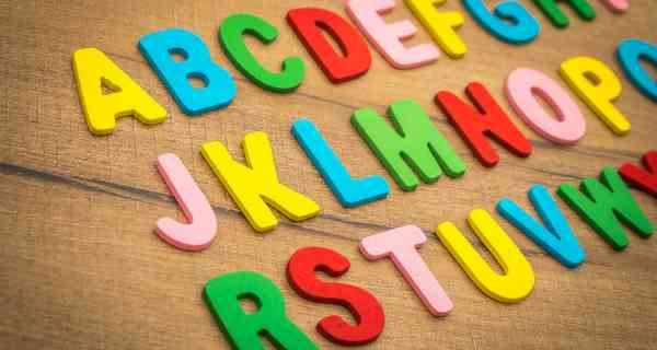 General Election: Education