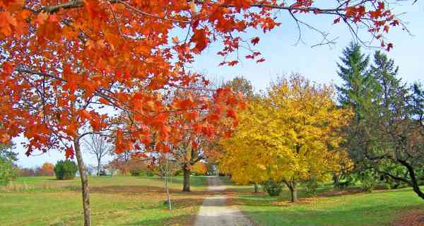 Revaluing parks and green spaces